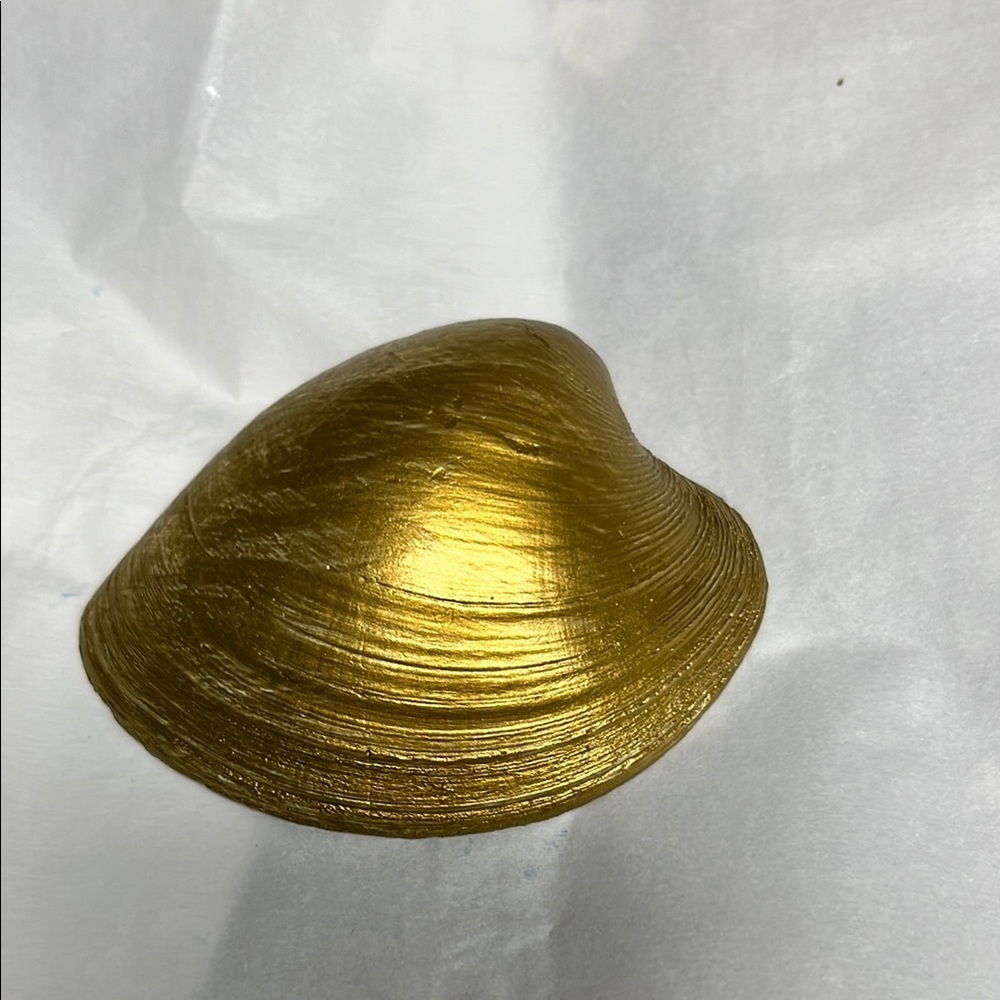 Handcrafted  Royal Check Trinket Shell Dish - Picture 7 of 9